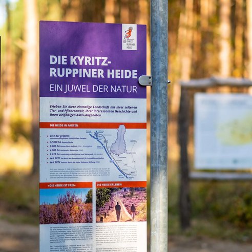 Kyritz-Ruppiner Heide