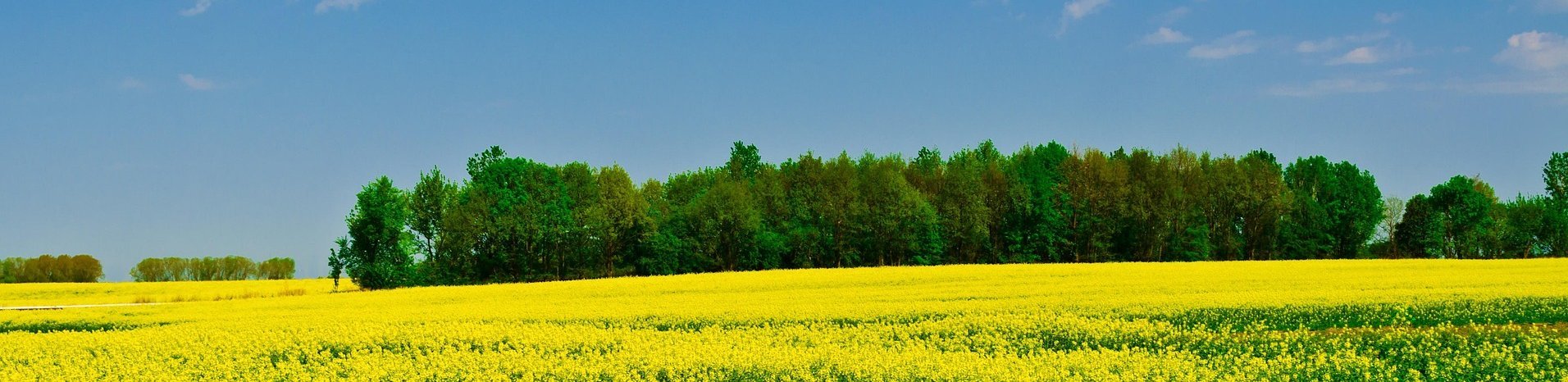 Ranglisten Regionalbudget