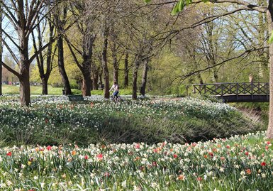 Friedrich-Ebert-Park im Frühling